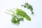 Mixed Herbs Sorrel dill thyme