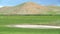 Mixed Livestock Animal Herds on the Vast Meadow in Mongolia