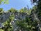 Mixed mountain forest in the area of Golubinjak forest park in Gorski kotar - Sleme, Croatia / MijeÅ¡ana goranska Å¡uma