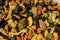 Mixed Ornamental Gourds  846685