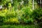 Mixed perennial border with hostas, spirea, delphinium and Stachys in summer