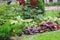 Mixed perennials combination in summer garden