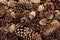 Mixed Pinecone Background