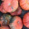 Mixed Pumpkins