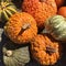 Mixed Pumpkins