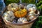 Mixed pumpkins decoration in basket outside