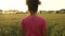 Mixed race African American girl teenager female young woman runner using smart watch and running on path through field of barley