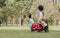 Mixed race little cute children pull and drag a red cart while playing in outdoor green park. Education, Diversity and Teamwork