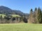 Mixed subalpine forests and a variety of trees in early spring on the slopes of the Swiss mountain massif Pilatus, Schwarzenberg