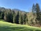 Mixed subalpine forests and a variety of trees in early spring on the slopes of the Swiss mountain massif Pilatus, Schwarzenberg