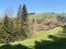 Mixed subalpine forests and a variety of trees in early spring on the slopes of the Swiss mountain massif Pilatus, Schwarzenberg