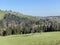 Mixed subalpine forests and a variety of trees in early spring on the slopes of the Swiss mountain massif Pilatus, Schwarzenberg