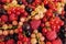 Mixed summer berries raspberry, blackcurrant, redcurrant, white currant, gooseberry, cherry on the white wooden background.