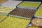 Mixed tray baklava, turkish baklava, turkish culture Turkish Dessert Baklava with concept background