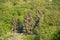 Mixed trees in the forest spessart