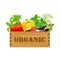 Mixed vegetables in a wooden vintage box. organic products