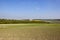 Mixed woodland and wheat field