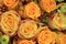 Mixed yellow bridal roses