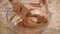 Mixing chocolate batter for cake. Woman`s hands preparing sweet food.