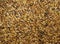 Mixture of different grains, golden wheat grains, Background of mixed barley and oat seeds. mixture of cereals for animal feed