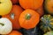 Mixture of different seasonal pumpkins and squashes