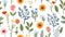 Mixture of flowers as pattern on white background