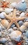 a mixture of shells and starfish on a beach