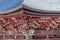 Miyabori carvings, Shishi Lion Nosing guardians and Dragons Water ablution pavilion at Fuji Sengen Jinja shinto shrine.