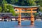 Miyajima, Famous big Shinto torii standing in the ocean in Hiroshima, Japan