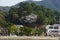 miyajima sakura