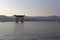 Miyajima is a small island of Hiroshima in Japan. It is most famous for its giant torii gate, which at high tide seems to float on