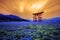 Miyajima Torii Gate in Hiroshima, Japan