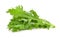 Mizuna lettuce isolated Japanese Mustard, vegetable salad for go