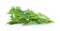 Mizuna lettuce isolated Japanese Mustard, vegetable salad for go