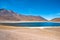 MiÃ±iques lagoon in San Pedro de Atacama, Chile