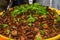 Mjedra Lebanese Lentils and Rice, plant based, vegan