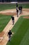 MLB Baseball - Grounds Crew working on the infield