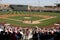 MLB Cactus League Spring Training Game Fans