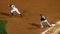 MLB - Podsednik tries to steal second base