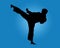 Mma mix martial arts fighter taekwando kick karate