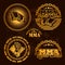 MMA mixed martial arts emblem badges - vector set