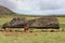 Moai- Ahu Tongariki Easter Island