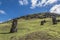 Moai buried on the hill of the Rano Raraku volcano