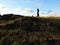 Moai and nature