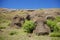 Moai not open to the public on Easter Island