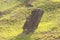 A moai on the outer slopes of Rano Raraku volcano. Rano Raraku is the quarry site where the moais were carved. Easter Island,