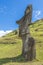 Moai in profile on the hill of the Rano Raraku volcano