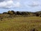 Moai pukao on Easter Island Rapa Nui, Chile