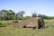 Moai Ruins in Easter Island, Chile