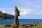 Moai statue at Ahu Tongariki archaeological site with Condor bird perching on the head, Pacific ocean, Easter Island, Chile